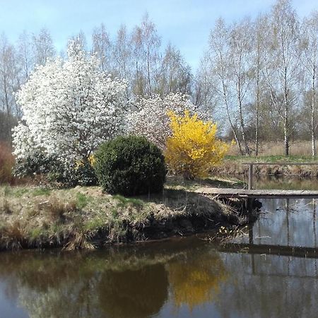Marka Pokoje Goscinne Mielno  Exterior foto