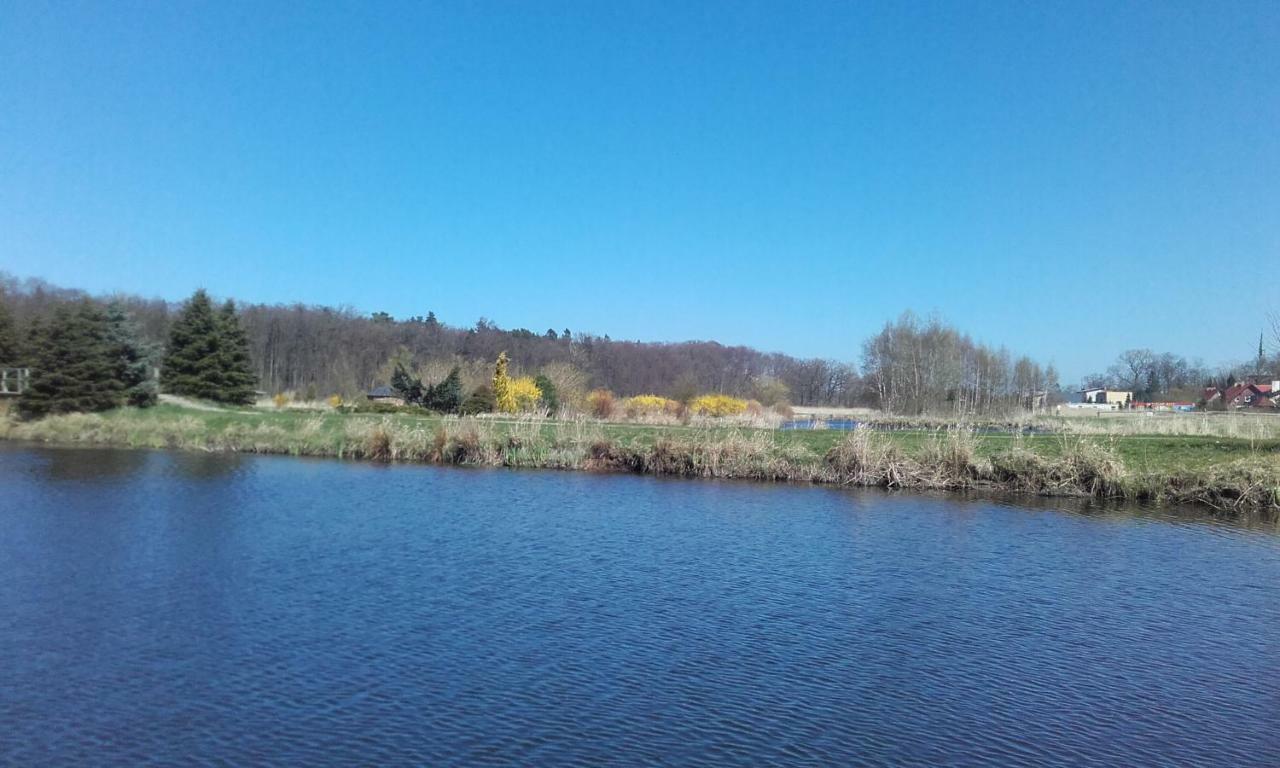 Marka Pokoje Goscinne Mielno  Exterior foto